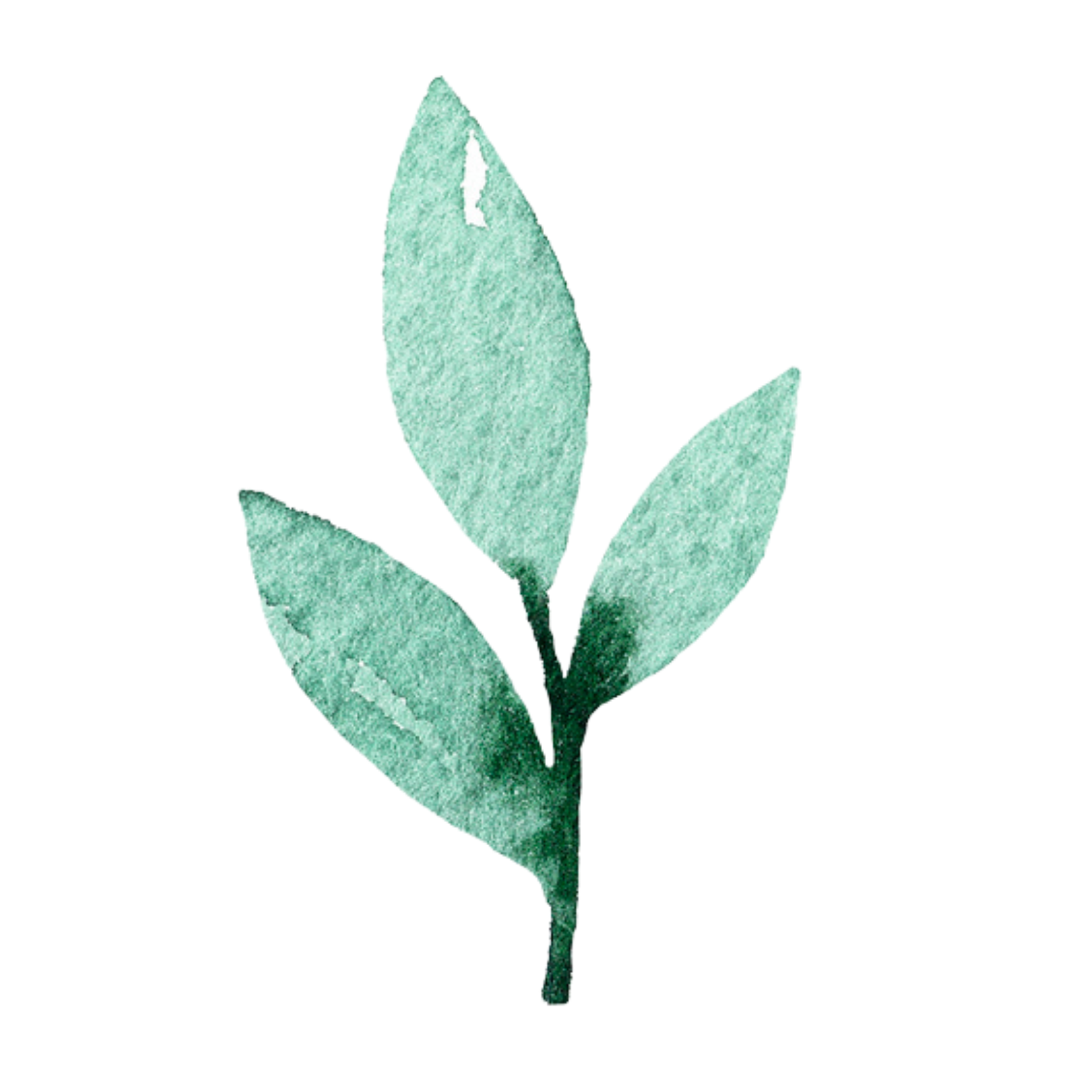Green watercolour leaves