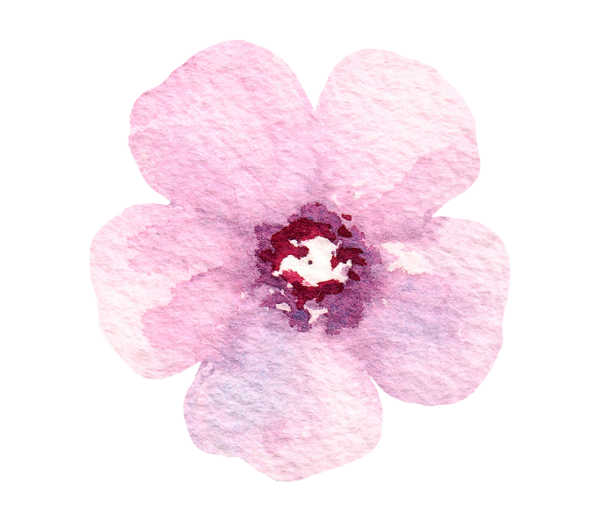 Pink watercolour flower