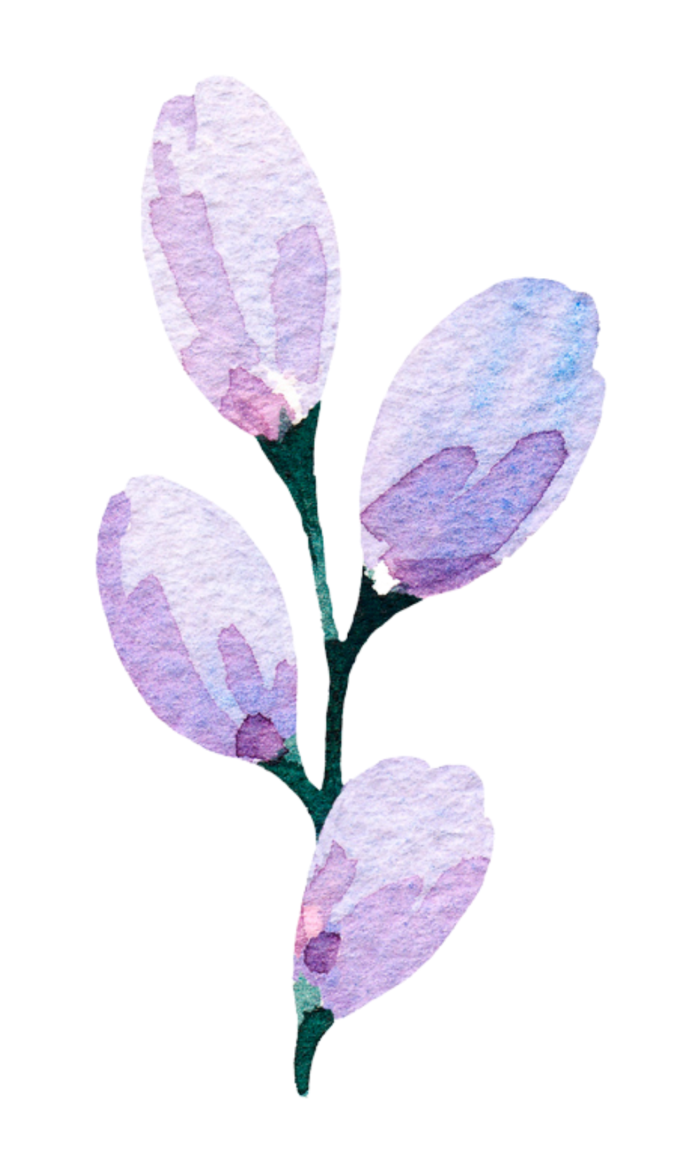 Purple watercolour flower